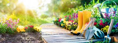 A letting agent’s guide to avoiding garden disputes