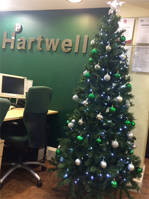 Hartwell estate agents christmas tree