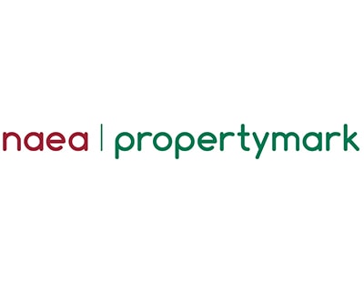 NAEA Propertymark chief executive to quit at the end of 2020