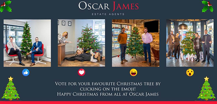 Vote! Vote! Vote! ... for your favourite Christmas tree, that is...