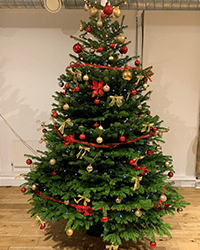 Festive knitwear and a terrific tree - more pictures of your offices