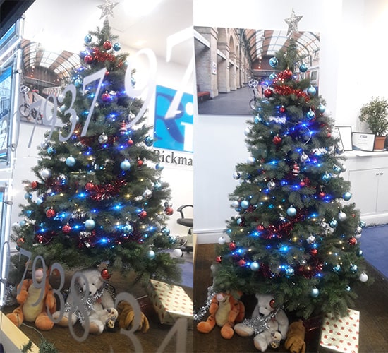 Christmas agency offices - we've a dog contest and terrific trees