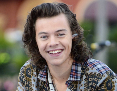 Only one direction for Harry Styles - towards a job as an estate agent