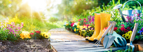 A Letting Agent's Guide to Avoiding Garden Disputes
