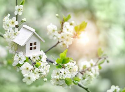 Spring 2023 – what’s in and what’s out in the housing market